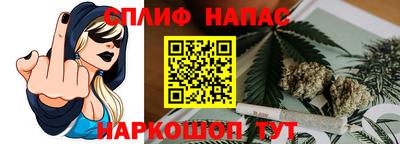 ГАЛЛЮЦИНОГЕННЫЕ ГРИБЫ Гусев