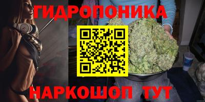 ГАЛЛЮЦИНОГЕННЫЕ ГРИБЫ Гусев