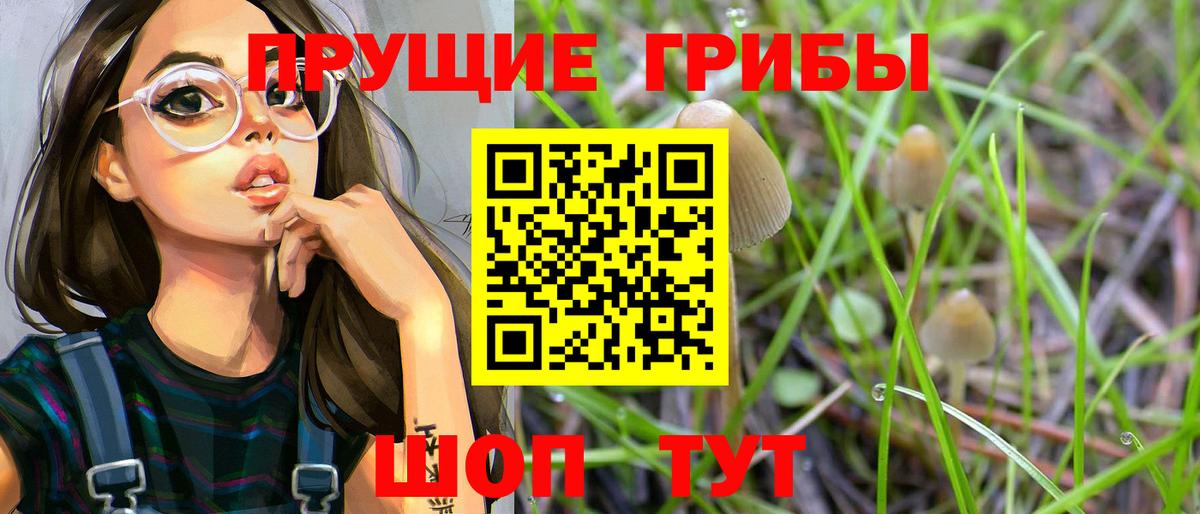 Псилоцибиновые грибы Psilocybe Коломна