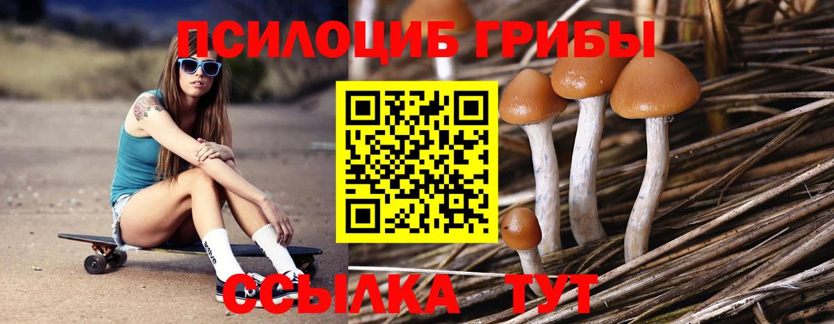 Коломна  Галлюциногенные грибы ЛСД  Вход с VPN  Псилоцибиновые грибы GOLDEN TEACHER 